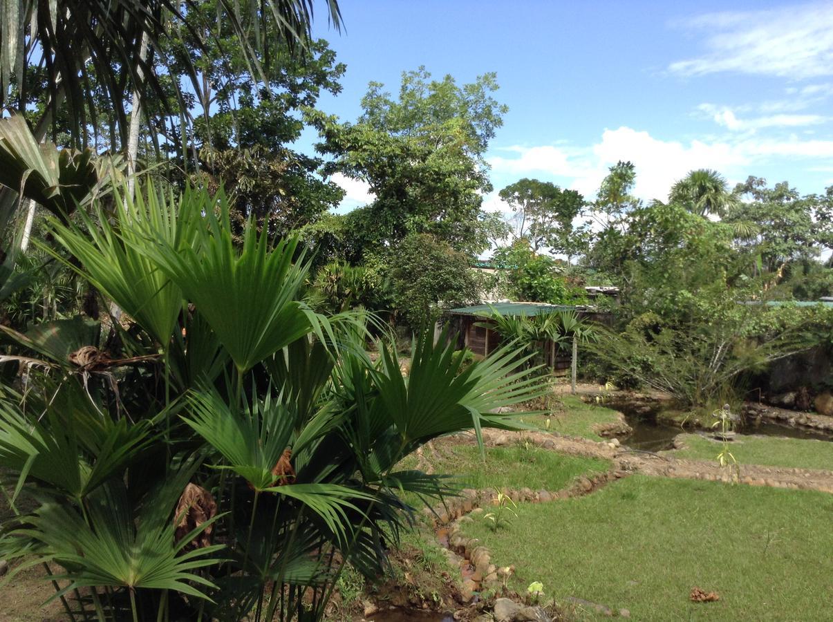 Wisdom Garden Tena Exterior photo
