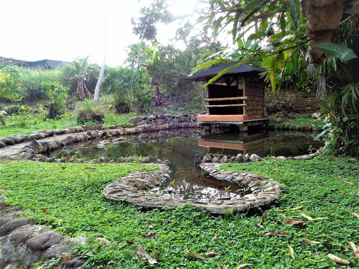 Wisdom Garden Tena Exterior photo